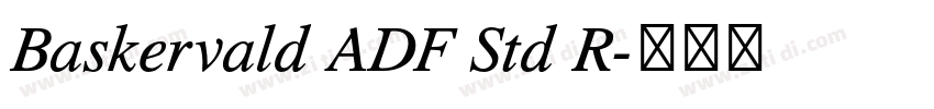 Baskervald ADF Std R字体转换 Baskervald ADF Std R字体转换